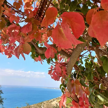 아파트 Rania-apartments 2 *